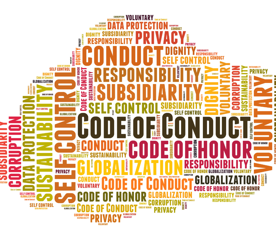 An image showing a document with the title 'Codes of Conduct' which explains what are the codes of conduct for assessing organizational needs.