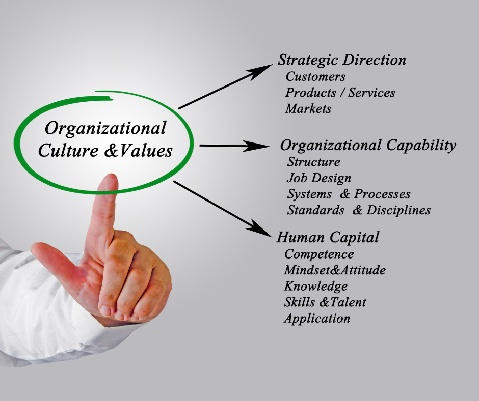 The Role of HR Policy in Organizational Culture