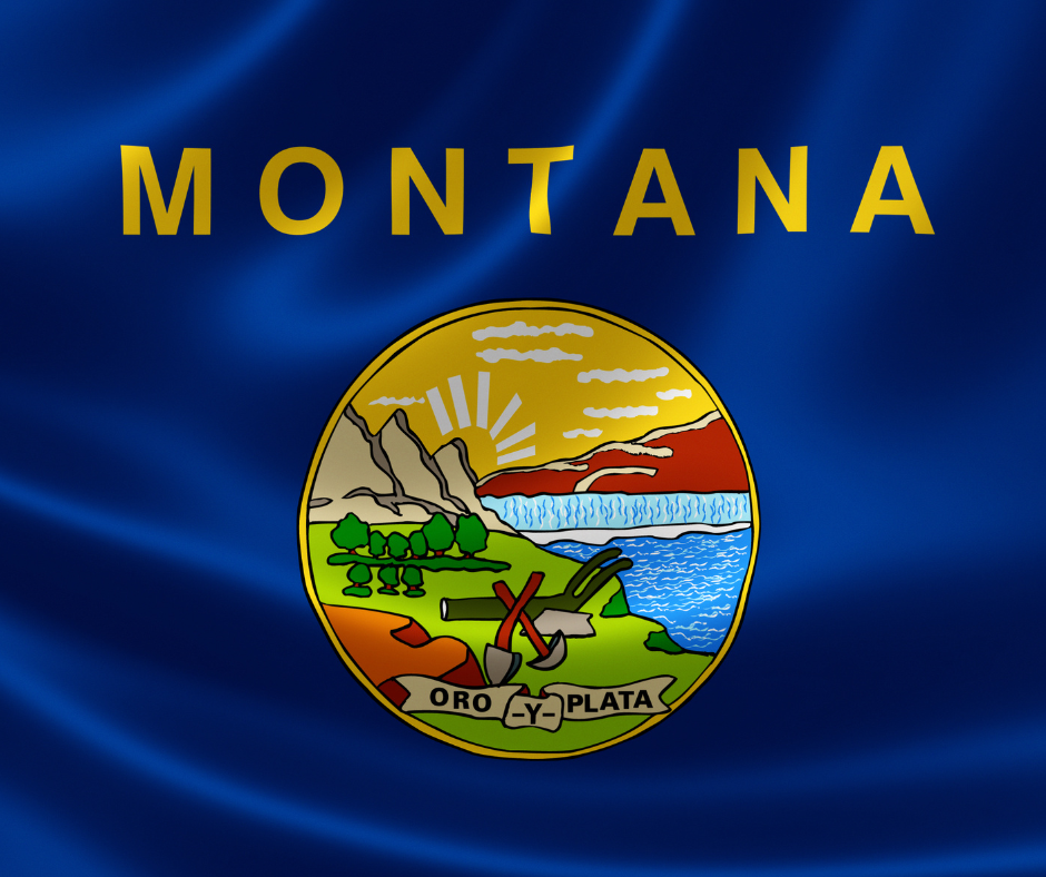 Overview of the State of Montana